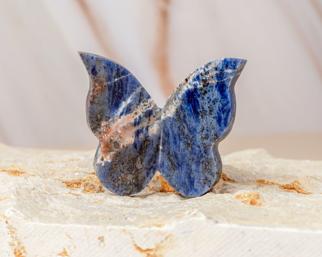 Sodalite Butterfly Carving